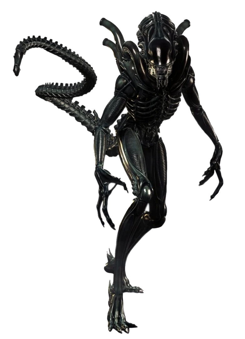 Xenomorph_Transparent.png