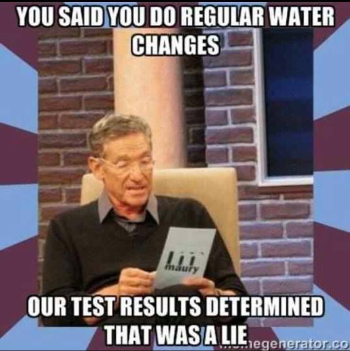 You said you do regular water changes _.. #maury #reeftank #marinedepot #waterchange.jpg