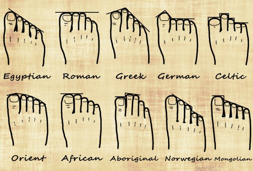 Your-Foot-Shape-and-Your-Genealogy-chart.jpg