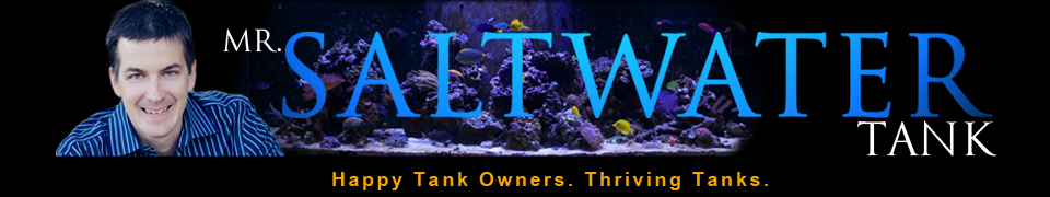 zzzzzzzzzzzzzzzzzzzzzzzzzzzzzzzzzzzzzzzzzzzzzzzzzzMr-SaltWaterTank-header-FINAL.png