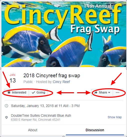 zzzzzzzzzzzzzzzzzzzzzzzzzzzzzzzzzzzzzzzzzzzzzzzzzzzzzzz Cincy Reef Going.png