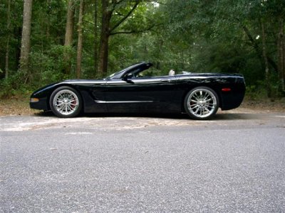 vette 007 (Small).jpg