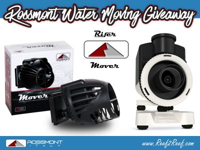The ROSSMONT Water Moving Giveaway! Win a Mover & Riser!