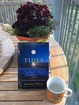 Book Review--Tides: The Science and Spirit of the Ocean by Jonathan White