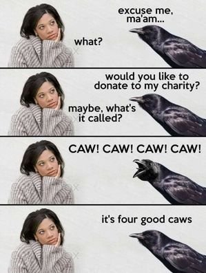 caws.jpeg