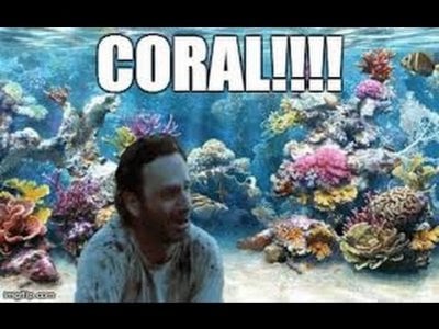 coral.jpg