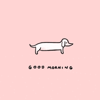 dog stretch good morning.gif