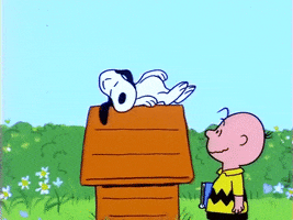 snoopy good morning.gif