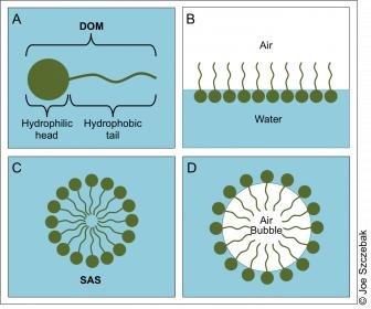 Fig2.jpg