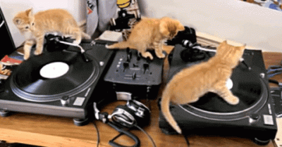 CatRecordPlayer.gif