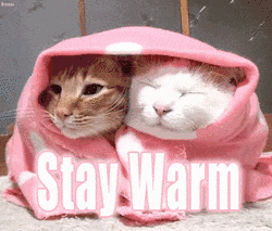 StayWarm.gif