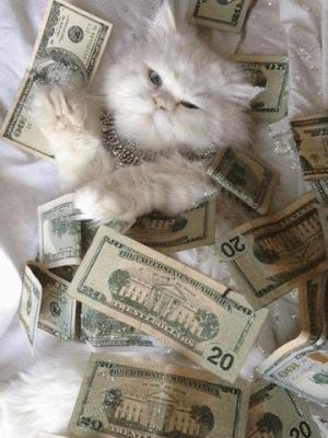 CatMoney.gif