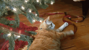 CatChristmasTree.gif