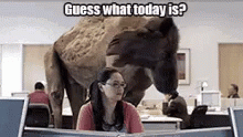 camel2.gif