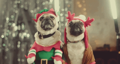 ChristmasDog3.gif