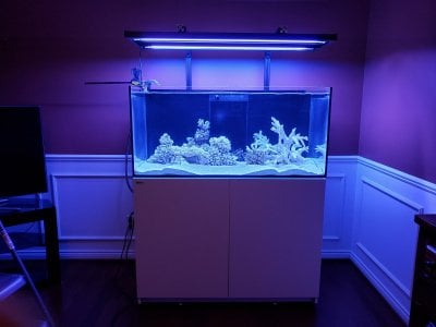 Recipe for 80/20 Light supports, Aquatic life Hybrid Fixture