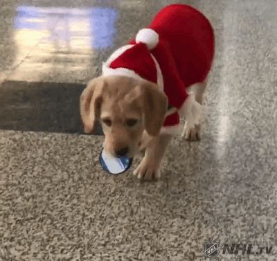 ChristmasDog7.gif