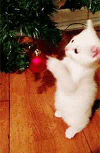 KittenChristmas.gif