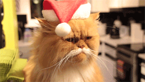 CatChristmas3.gif