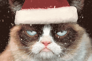 CatChristmas6.gif