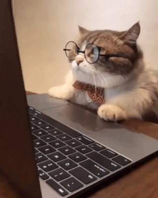 CatResearch.gif