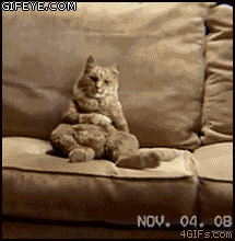 CatDance.gif