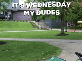 Wednesday.gif