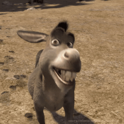 GoodMorningDonkey.gif