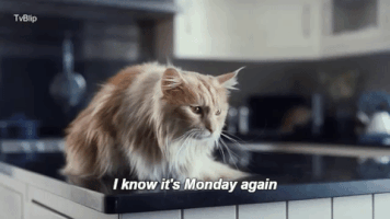 MondayAgain.gif