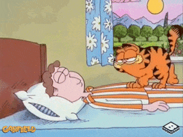 GoodMorningGarfield.gif