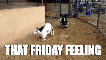 FridayFeeling2.gif