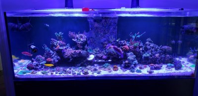 fts 082218.jpg