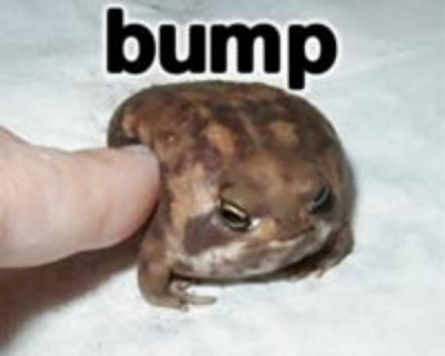 frog_bump20110724-22047-1v5fyvp.jpg