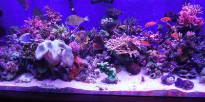 FTS_6-5-12.jpg