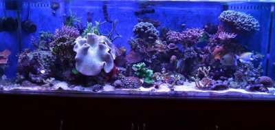 FTS_2-12-13.jpg