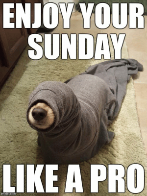 thumb_enjoy-your-sunday-like-a-pro-imgfp-com-happy-sunday-funday-48546248.png