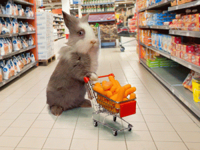 BunnyShopping.gif