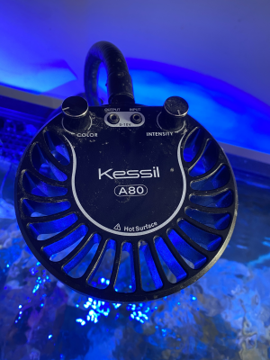 Kessil.png