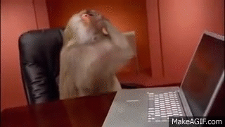 MondayMonkey.gif