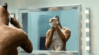 mountain lion shaving.gif