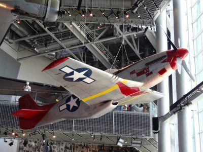 P51.jpg