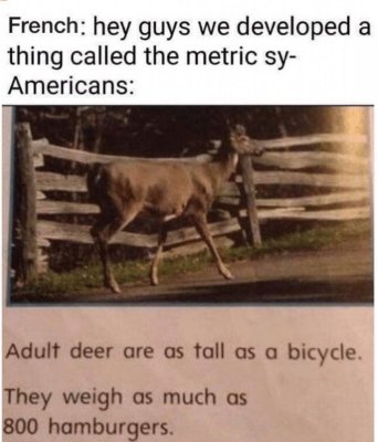 Metric.jpg