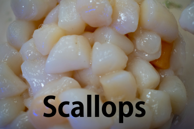 Scallops.png