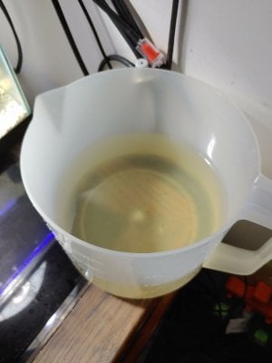 native pond frag water.jpg