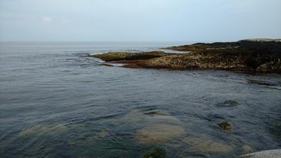 tide pool 02.jpg