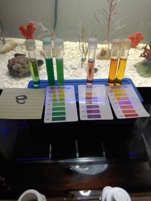 ammonia after meal ( low aerobic ).jpg