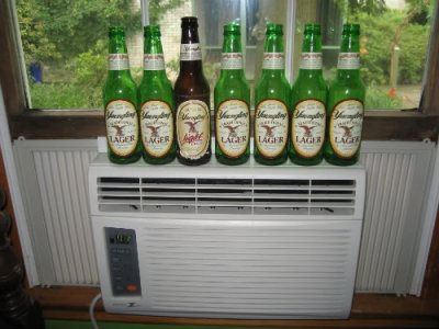 Yuengling Lineup.jpg