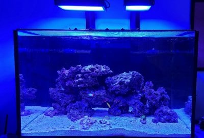 Full_Tank_081120.jpg