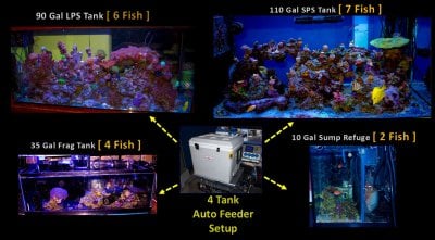 DIY (Auto) FROZEN FOOD FEEDER