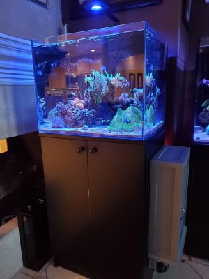 40g nem tank with control panel box.jpg